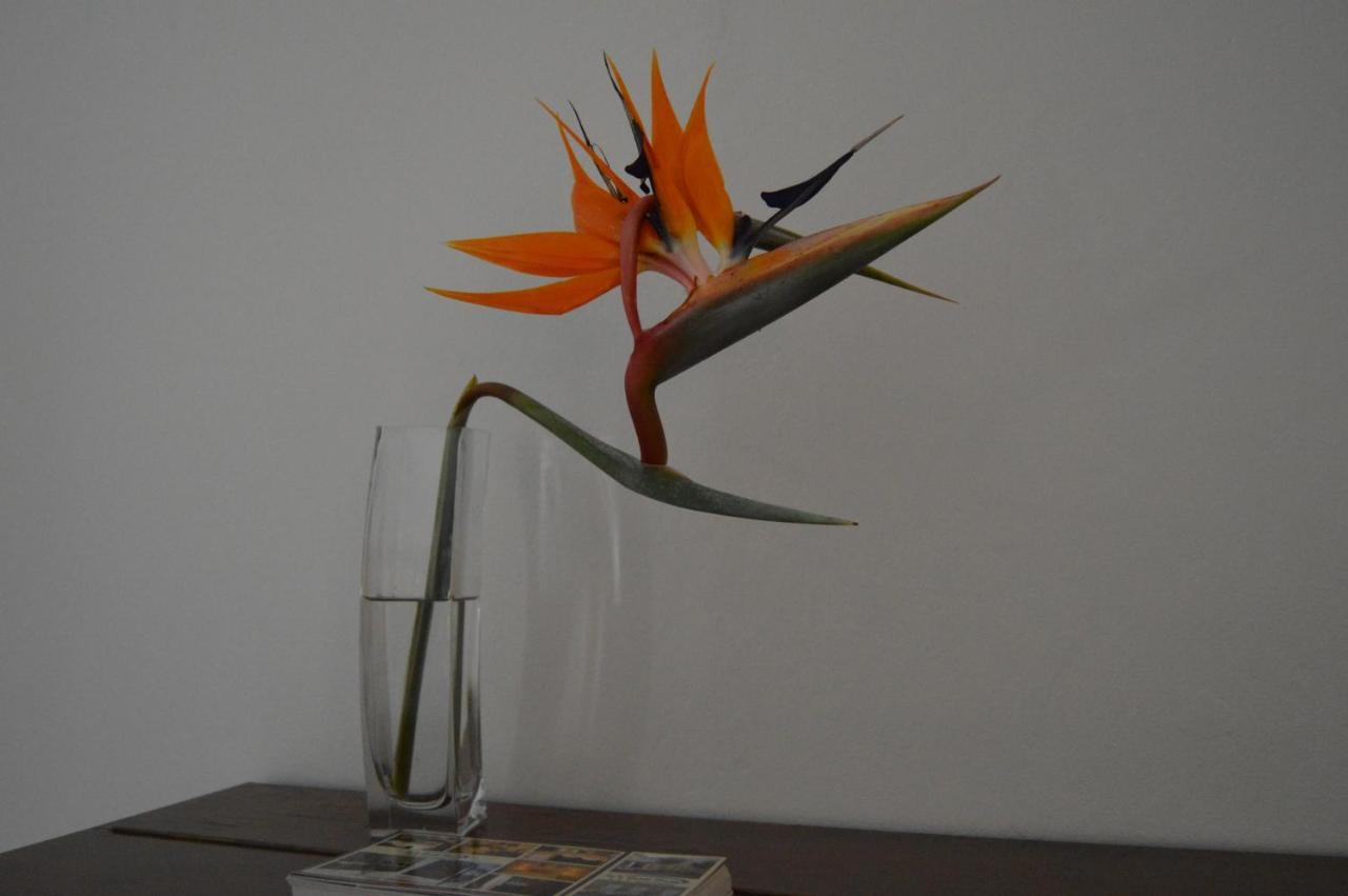 Lu'S Guest House Paarl Bagian luar foto